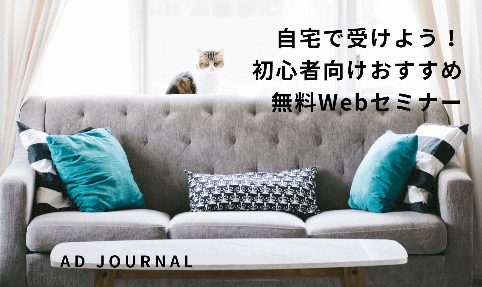 自宅で受けよう！初心者向けおすすめ無料Webセミナー