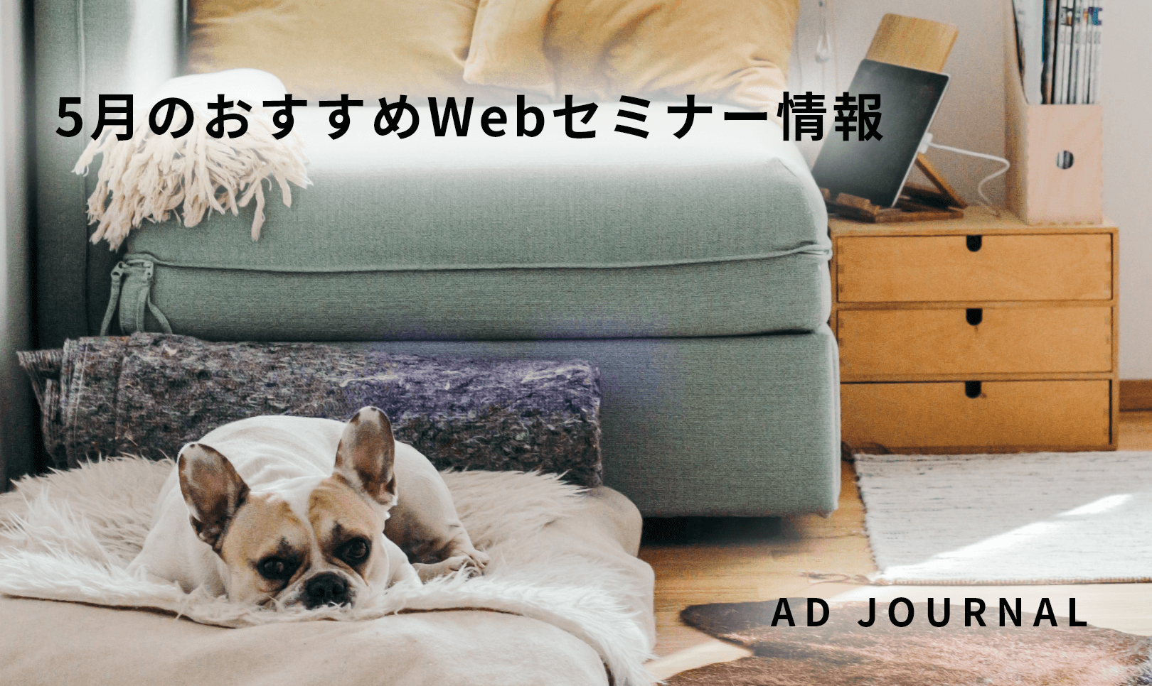 5月のおすすめWebセミナー情報